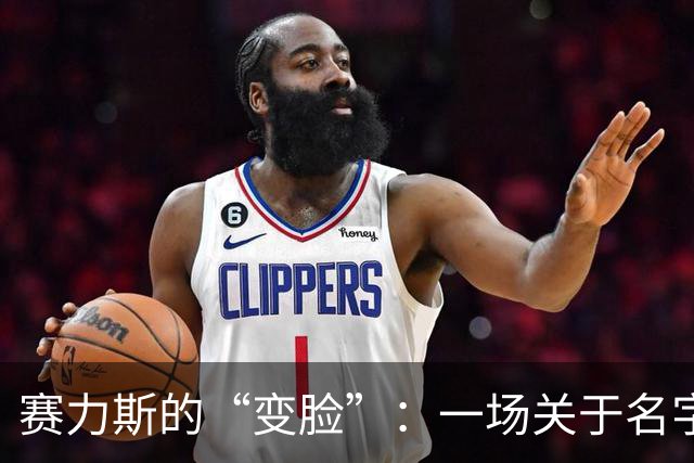 赛力斯的“变脸”：一场关于名字的误会